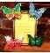 butterflies_banner.jpg